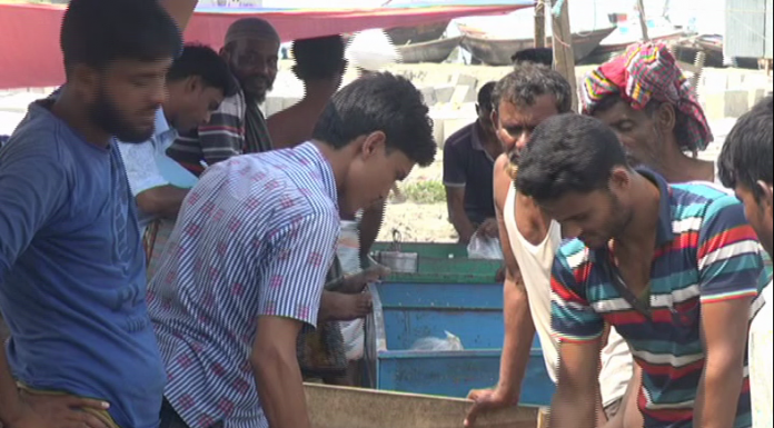 ভোলার নিষিদ্ধজোনে ইলিশসহ সকল ধরনের মাছ ধরা,বিক্রি,সরবরাহ সবই হচ্ছে প্রকাশ্যে