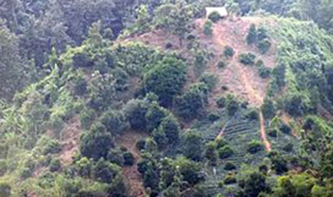 পাহাড়ি দুই গোষ্ঠীর পাল্টাপাল্টি হামলায় দুজন খুন