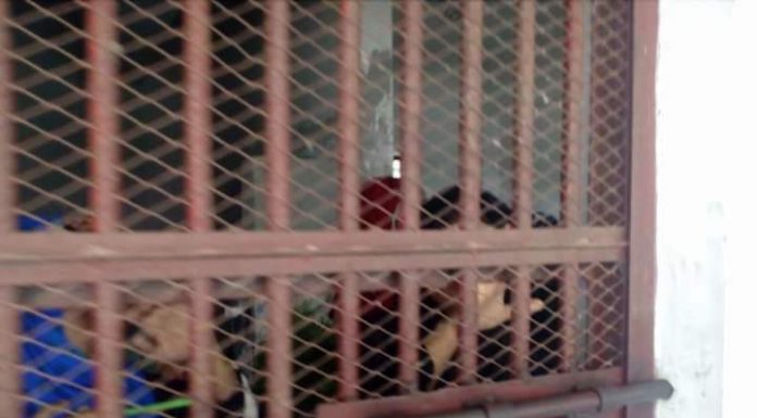 ভোলায় প্রাথমিক শিক্ষক নিয়োগ পরীক্ষায় দুর্ণীতি : ৭৯ জনের সাজা, বহিস্কার-১২২