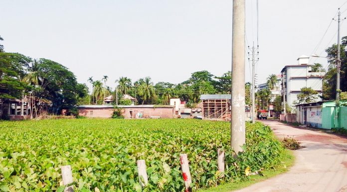 বড় ধরনের অ-ঘটনের আশঙ্কা ভোলায় আবাসিক এলাকায় জলাশয় ভরাট করে চলছে মার্কেট নির্মাণ ॥ প্রশাসন নির্বিকার