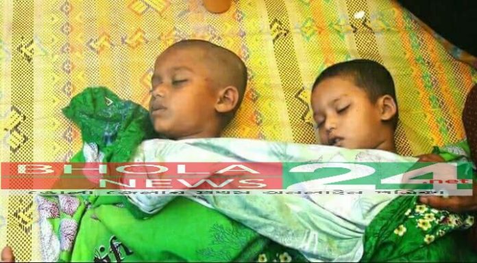 ভোলার লালমোহনে বিদ্যুৎস্পৃষ্ট দুই ভাইয়ের মৃত্যু