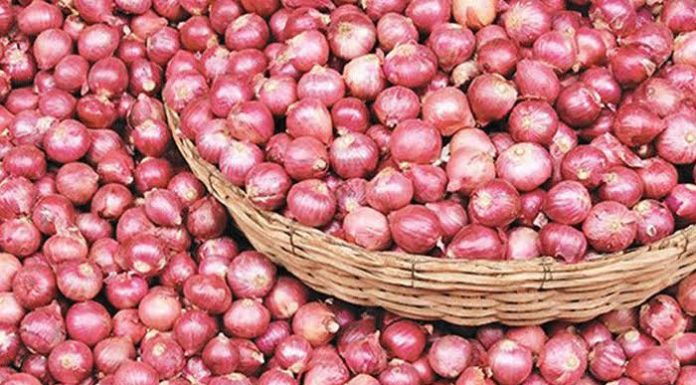 মিসর থেকে সেই ফ্লাইট এসেছে, পেঁয়াজ আসেনি