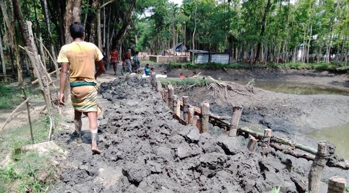 পূর্ব ইলিশা যুব ফাউন্ডেশন ও জনগনের উদ্যোগে রাস্তা সংস্কার