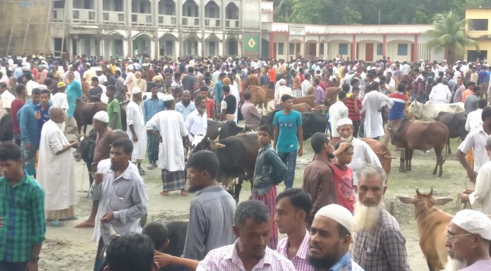 জমে উঠেছে ভোলার পশুরহাট ।। নেই স্বাস্থ্যবিধি