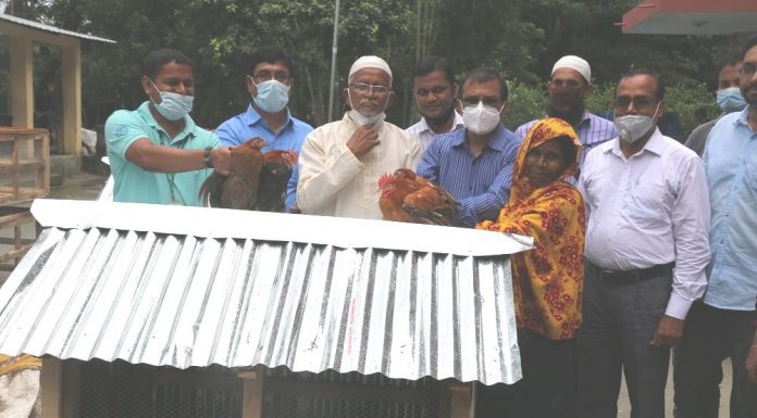 ভোলার দরিদ্র নারীরা পেল মুরগী ও খাচা