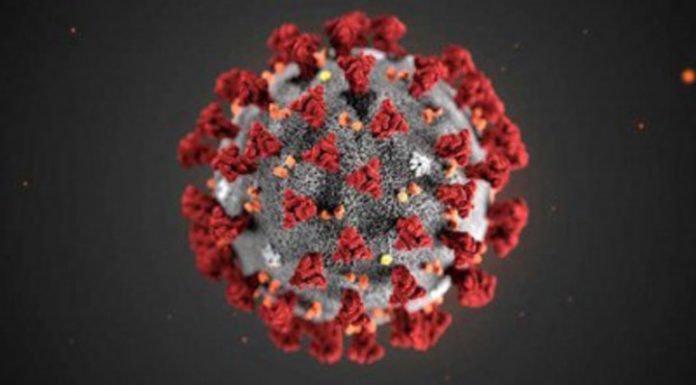 করোনায় ২৪ ঘণ্টায় মৃত্যু ৩৪, শনাক্ত ১৭৯২