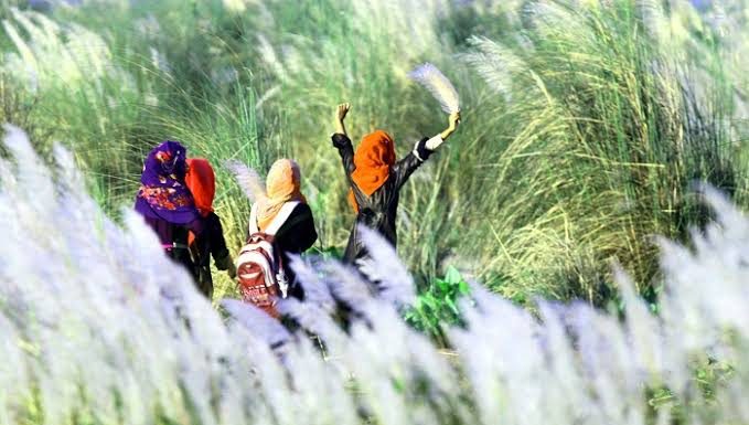 গাজীপুরে কাশবনে অভিযান চালিয়ে ২১ কিশোর-কিশোরী আটক