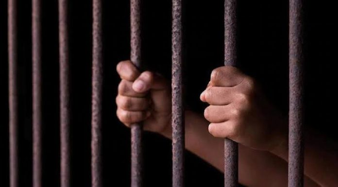 ভোলায় ইলিশ ধরার অপরাধে ২১ জেলের জেল-জরিমানা