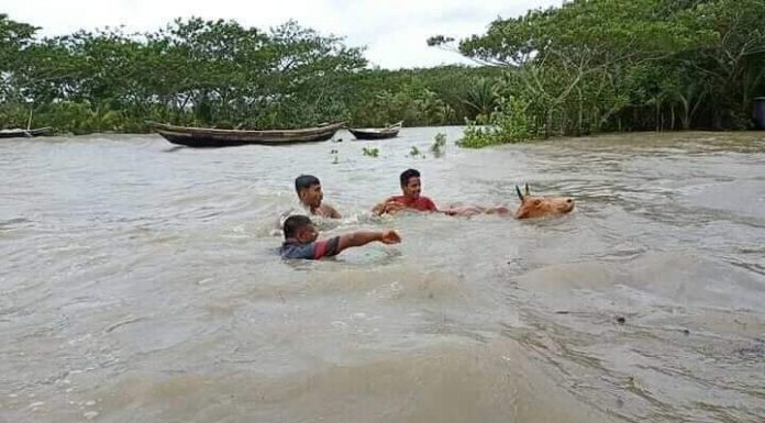ঝড়ো হাওয়া হচ্ছে ভোলায় পরছে গুড়ি গুড়ি বৃষ্টি,নদী উত্তাল