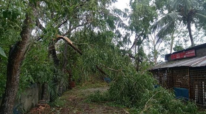 ইয়াস : লালমোহনে ঝড়ে গাছের ডাল চাপা পড়ে প্রাণ গেল রিকশাচালকের