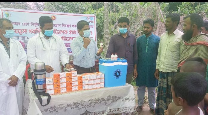 তজুমদ্দিনে পিপিআর ও ক্ষুরারোগের ভ্যাকসিনেশনের ক্যাম্পেইন উদ্বোধন