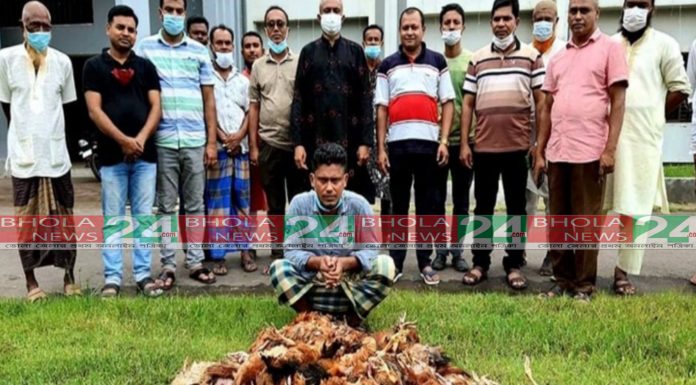 চরফ্যাশনে ৩ বস্তা মরা মুরগি বিক্রির সময় এক ব্যবসায়ী আটক