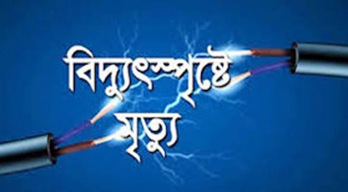 চরফ্যাশনে নাতিকে বাঁচাতে গিয়ে বিদ্যুৎস্পৃষ্টে নানার মৃত