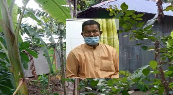 ভোলার রাজাপুরে আদালতের রায় অমান্য করে ঘর নির্মান, বাড়ি দখল, গাছ-মাছ লুট