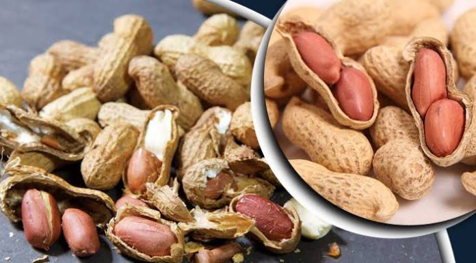 কাঁচা নাকি ভাজা কোন বাদাম বেশি উপকারী