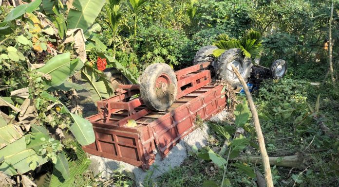 তজুমদ্দিনে প্রতিকারহীন সড়ক দুর্ঘটনা! অনুমোদনহীন ট্রাক-লড়ি প্রতিদিন ঘটছে দূর্ঘটনা
