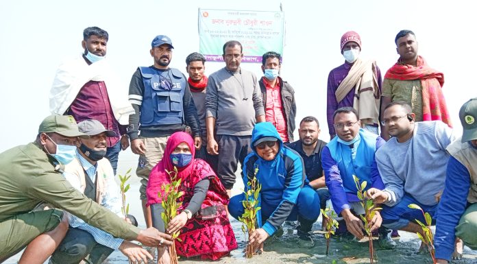 মেঘনার বুকে জেগে ওঠা বিচ্চিন্ন দ্বীপ চরে বৃক্ষরোপন উদ্বোধন করেন এমপি শাওন