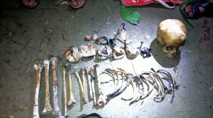 লালমোহনে খালে পাওয়া গেল শিশুর মাথার খুলি ও হাড়গোড়