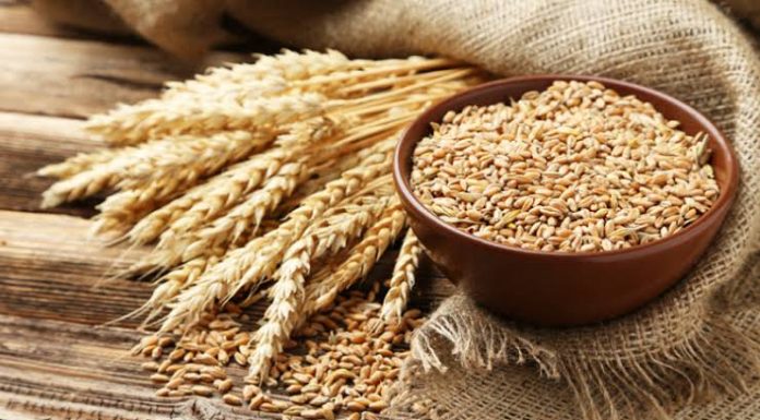 গম রপ্তানিতে ভারতের নিষেধাজ্ঞা বাংলাদেশের জন্য নয়